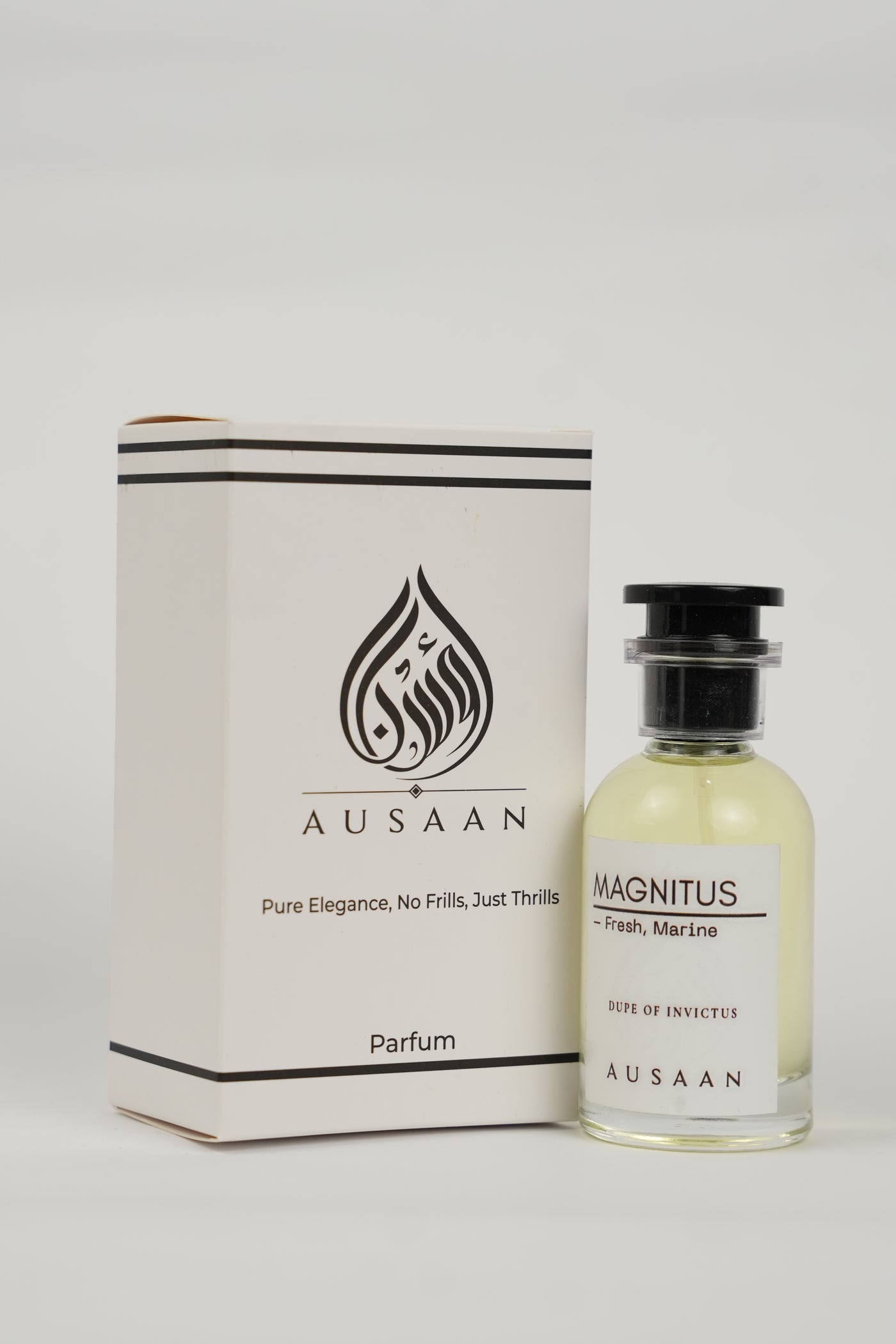 Magnitus – Dupe of Invictus